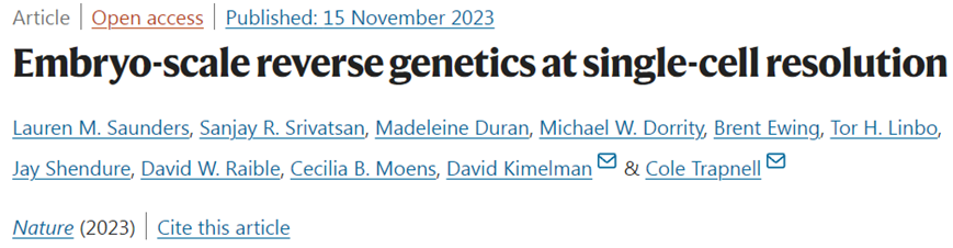 Nature：新研究定量确定发育中的斑马鱼胚胎内的细胞基因活性变化的细节