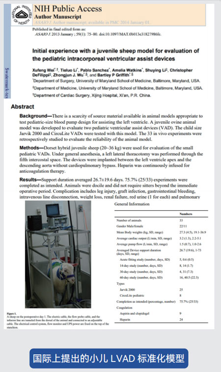 东莞市凯迪胶粘科技有限公司