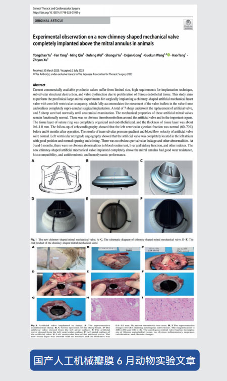 东莞市凯迪胶粘科技有限公司