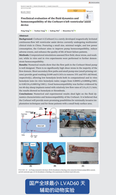 东莞市凯迪胶粘科技有限公司